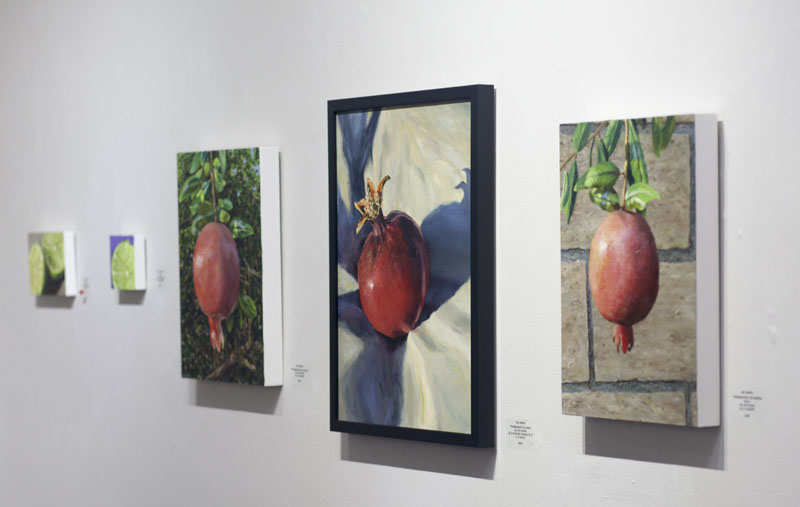 Pomegranate Over Garden Wall