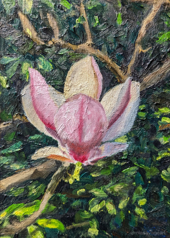 Magnolia II