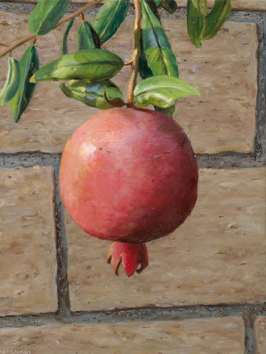 Pomegranate Over Garden Wall