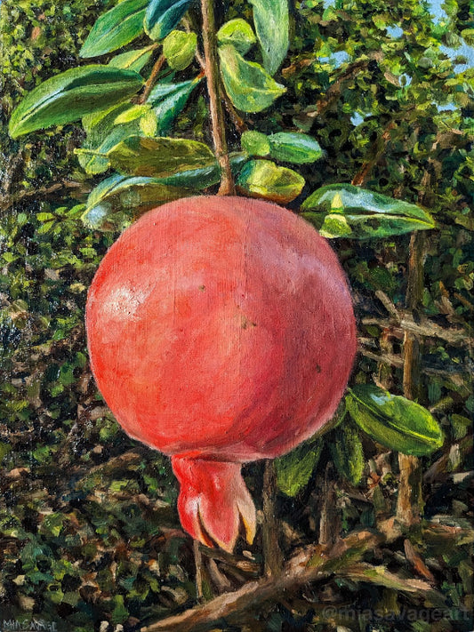 Pomegranate in Nature