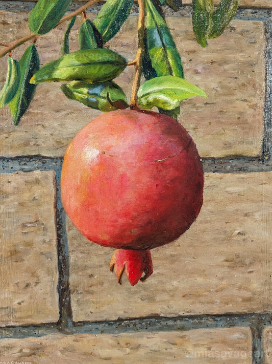 Pomegranate Over Garden Wall